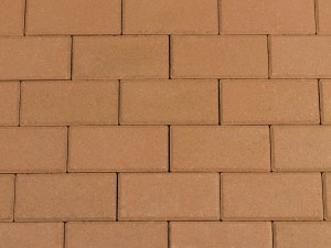 BSS 8cm Gasselter Bruin A. van Elk BV