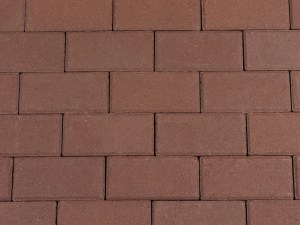 BSS 8cm Paars A. van Elk BV