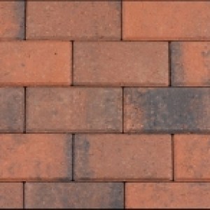 BSS rood zwart A. van Elk BV