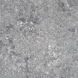 SB Keramisch Tegel Conception OUT 20MM Ruvido Grigio 60x60x2cm A van Elk BV